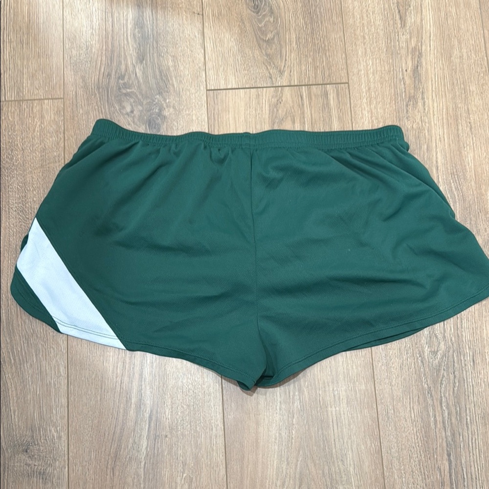 Asics Women's Green Running Shorts (Lined) - Picture 2 of 5
